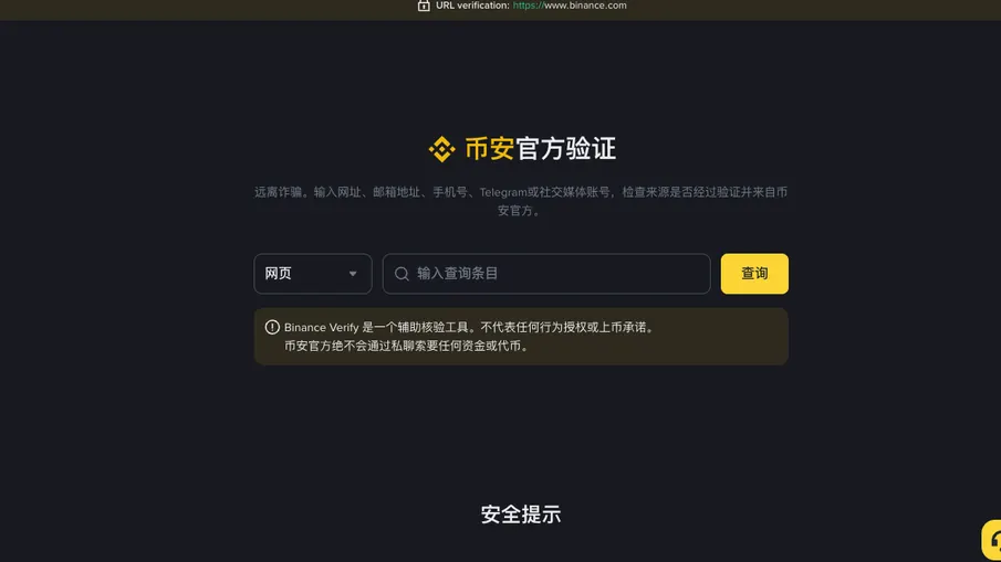 币安官方验证页面：顶部横幅显示 URL verification: https://www.binance.com，中间是类型下拉框（网页）、查询输入框和黄色查询按钮，下方提示 Binance Verify 是辅助核验工具